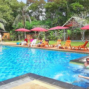 Doo Dee Boutique Resort By Swiss Chalet